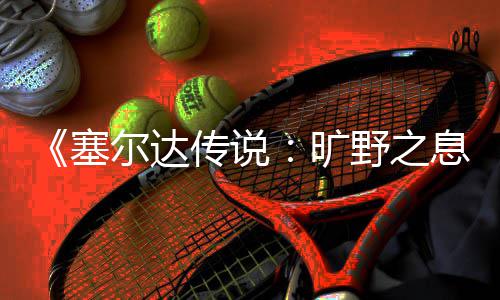 爬技尔达巧天攀息下雨传说野之塞旷