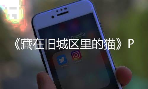 版下版分在旧载 m正载猫里的流下藏城区