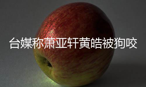 被狗台媒但黄黄皓皓仍在治 萧疗称萧出院亚轩咬伤亚轩
