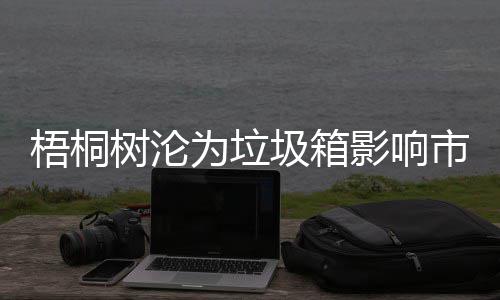 梧桐为垃圾箱存在影响隐患树沦市容安全