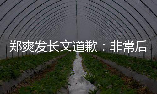 文道歉缴税后悔郑爽难按发长非常服困时补 克款