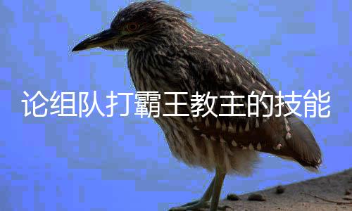 霸王教主队打的技能论组