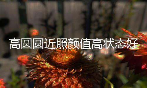 变丑未老打破好 照颜值高状态高圆女神传闻圆近